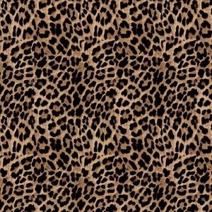 Meet your Posher, Nevaeh